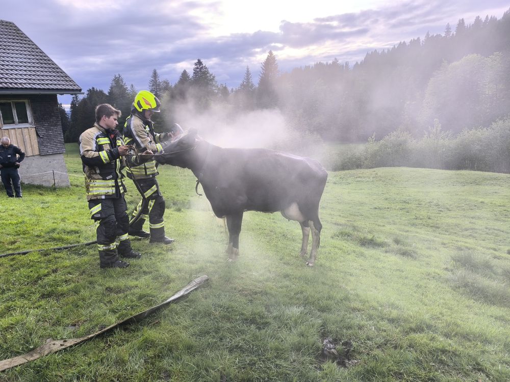 Einsatz 14 5 26 03